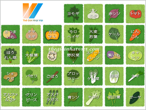 vien-uong-rau-cu-dhc-nhat-ban-1